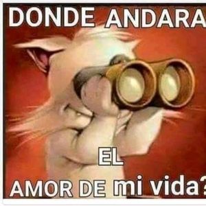 Meet your Posher, Lupe